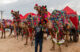 beautiful camels in pushkar rajasthan