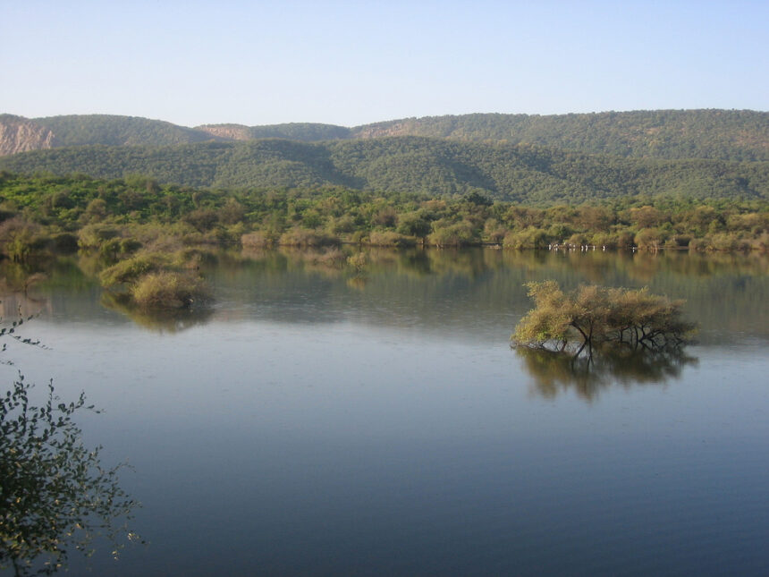 Sariska reserve