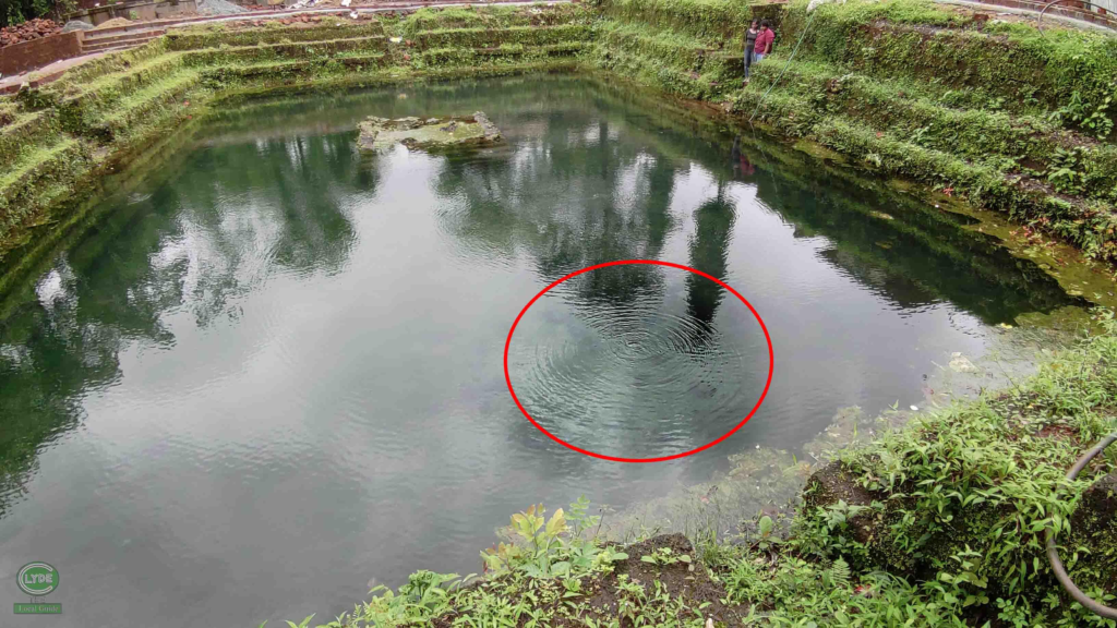 Pond in Netravali